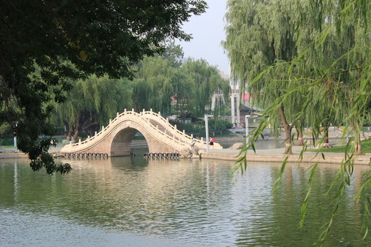 橋