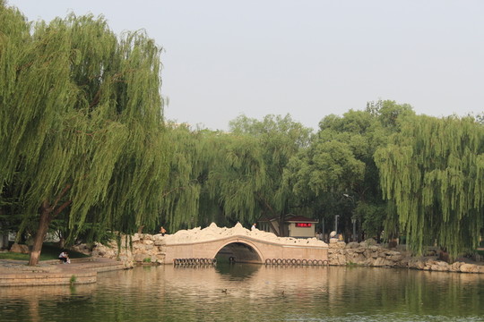 石橋