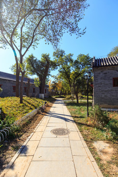 北大鏡春園古典庭院小路陽(yáng)光