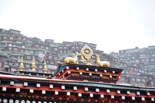 四川 色達(dá) （12）