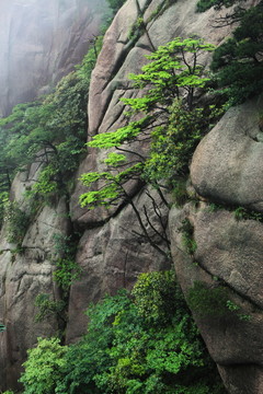 江西 三清山