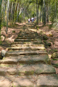 林間古道