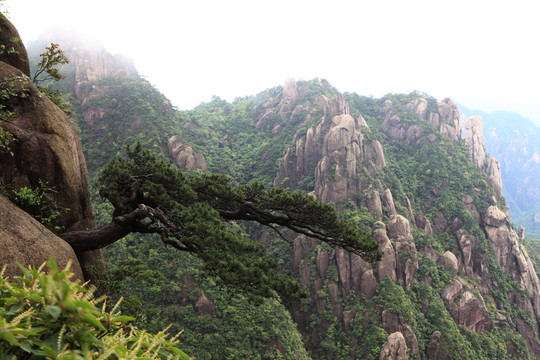 江西 三清山
