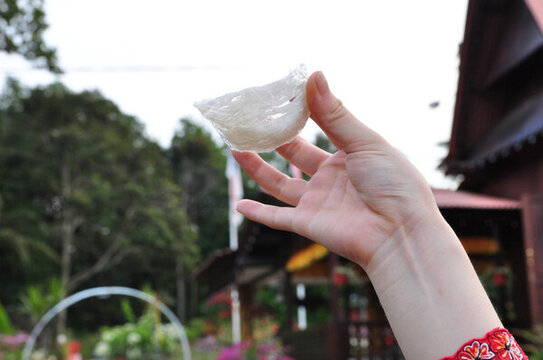 燕窩