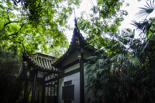 養(yǎng)生池 仙女山
