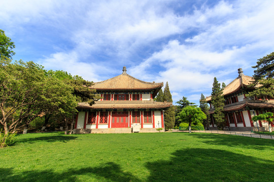 北大校園風(fēng)光南北閣草坪塔松松柏