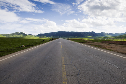 若爾蓋草原公路