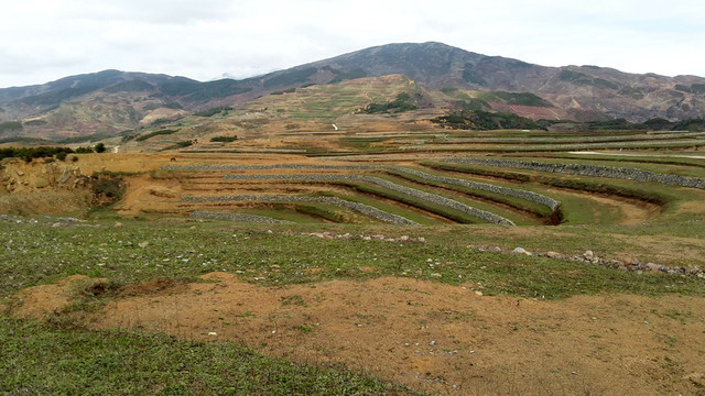 土改 梯田 金土地