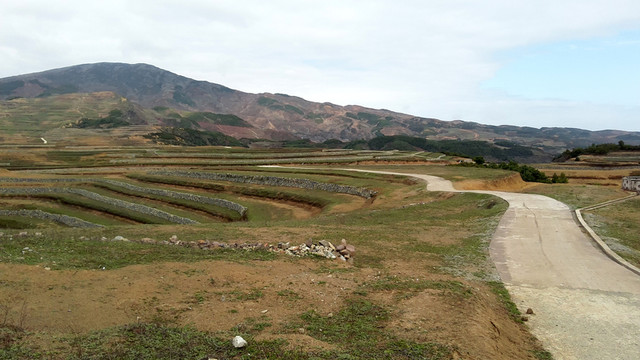 金土地 梯田