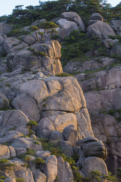 黃山