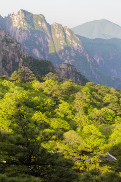 黃山