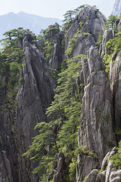 黃山
