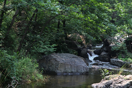 山林小溪