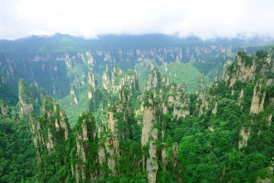 張家界 山水風(fēng)景 石林