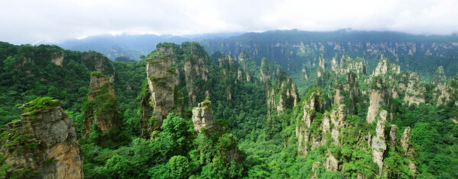 張家界 山水風(fēng)景 石林全景圖
