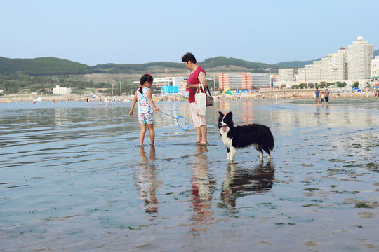 海邊遛狗