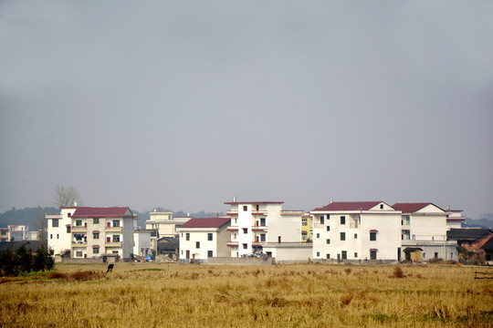 農(nóng)村風(fēng)光