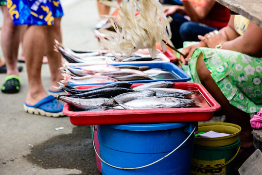 菲律賓魚市場