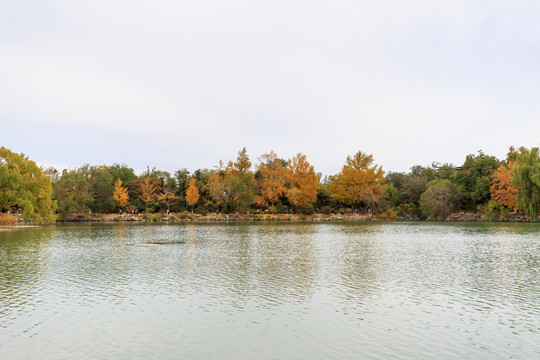 北京大學(xué)校園風(fēng)光未名湖秋天秋色