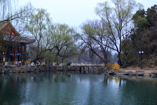 北京大學(xué)校園風(fēng)光未名湖備齋春天