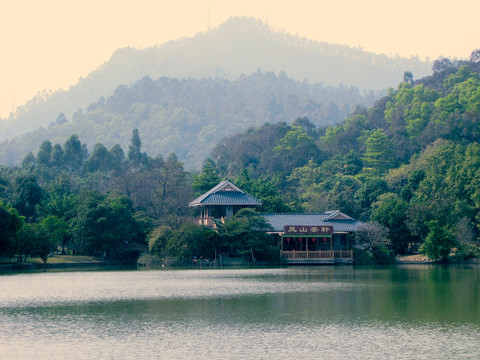 大夫山鳳山茶軒