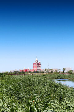 大慶 龍鳳濕地 小河 蘆葦
