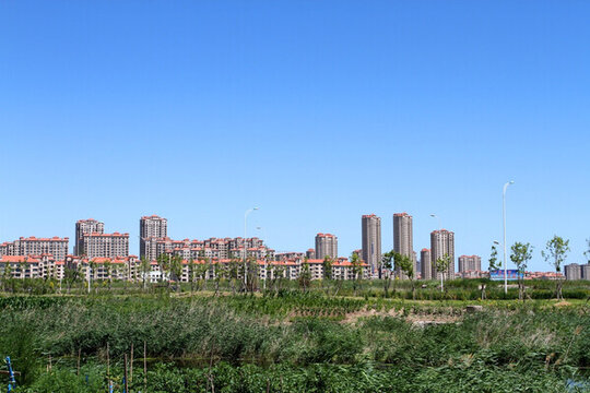 大慶 龍鳳濕地 小河 蘆葦