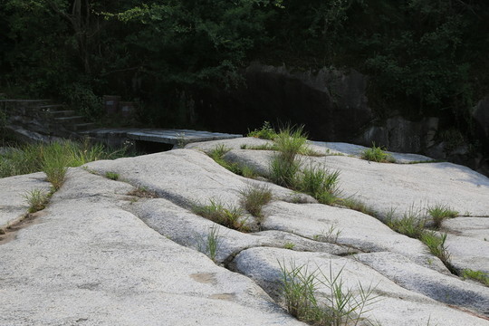 石頭