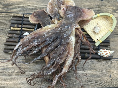 章魚