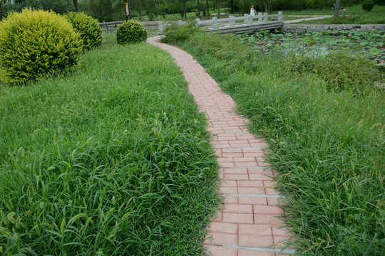 公園小路