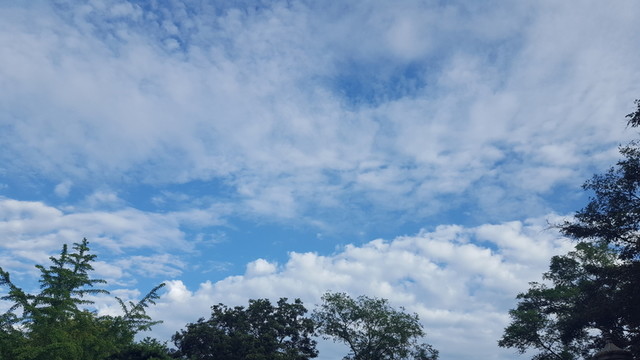 藍(lán)天