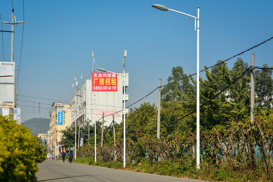 路燈