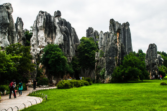 草地公園