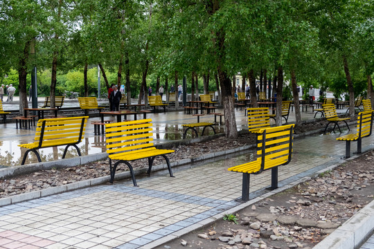 林區(qū)公園