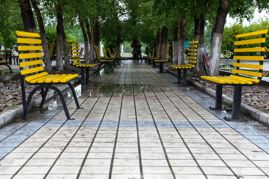 林區(qū)公園