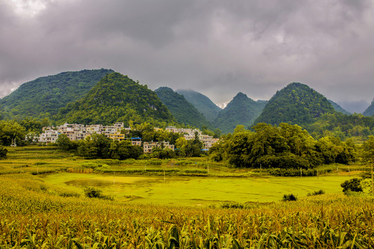 布泉鄉(xiāng)秋色
