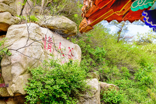 夢(mèng)幻情人谷
