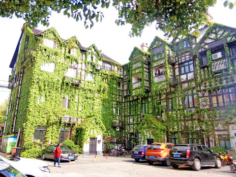 植物墙 绿色建筑