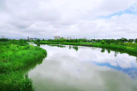 城市濕地