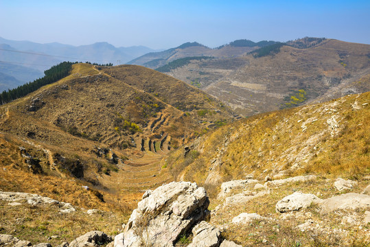 山 山頂