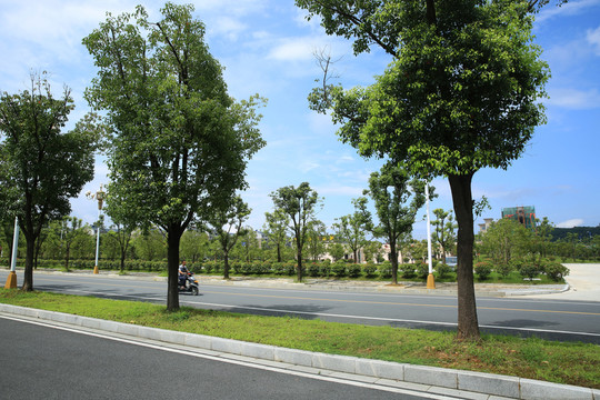 城市園林