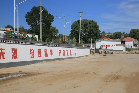 新農(nóng)村