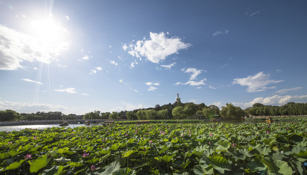 夏日北海公園