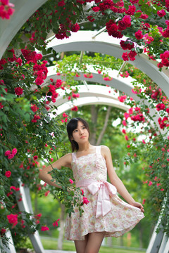 薔薇花下的女孩