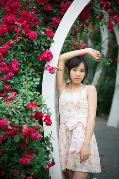 薔薇花下的女孩