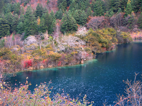九寨溝 秋色