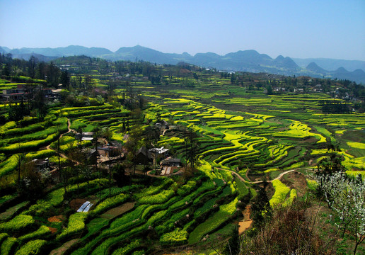 清鎮(zhèn)山區(qū)梯田