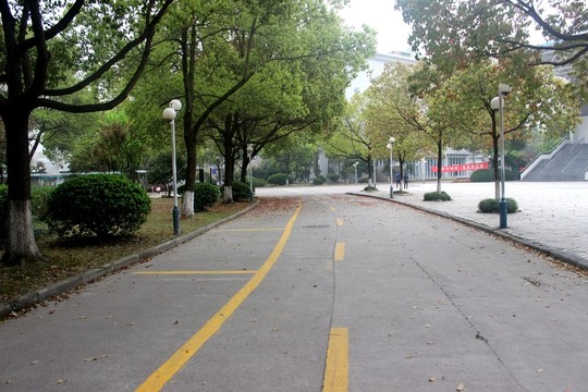 校園風(fēng)光
