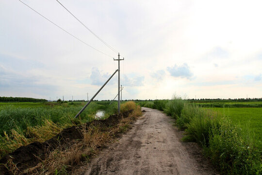 田間路 防風林 路 小路 馬路