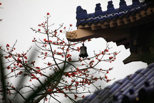 廣州中山紀(jì)念堂